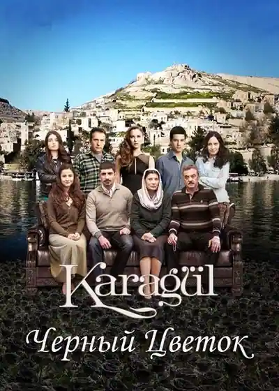 Постер к сериалу Черный цветок