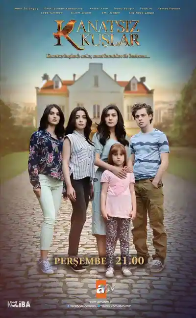 Постер к сериалу Птицы без крыльев